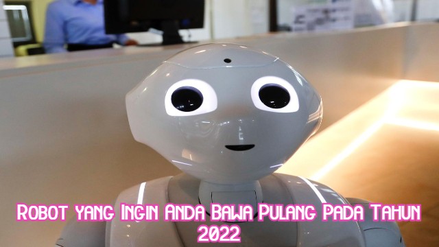 Robot yang Ingin Anda Bawa Pulang Pada Tahun 2022